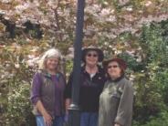 Parks Committee members under cherry blossoms